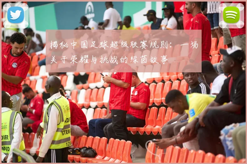 揭秘中国足球超级联赛规则:一场关于荣耀与挑战的绿茵故事